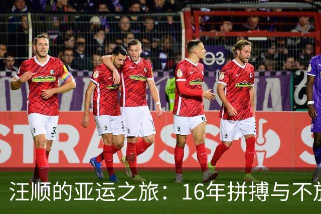 汪顺的亚运之旅：16年拼搏与不放弃的初心