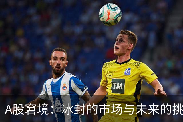 A股窘境：冰封的市场与未来的挑战